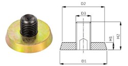 Embedded Magnet